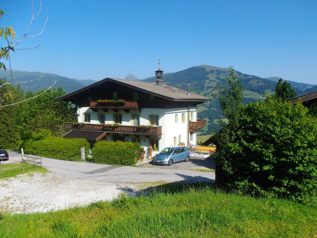 Ferienhaus Hochwimmer Hollersbach im Pinzgau Exterior photo
