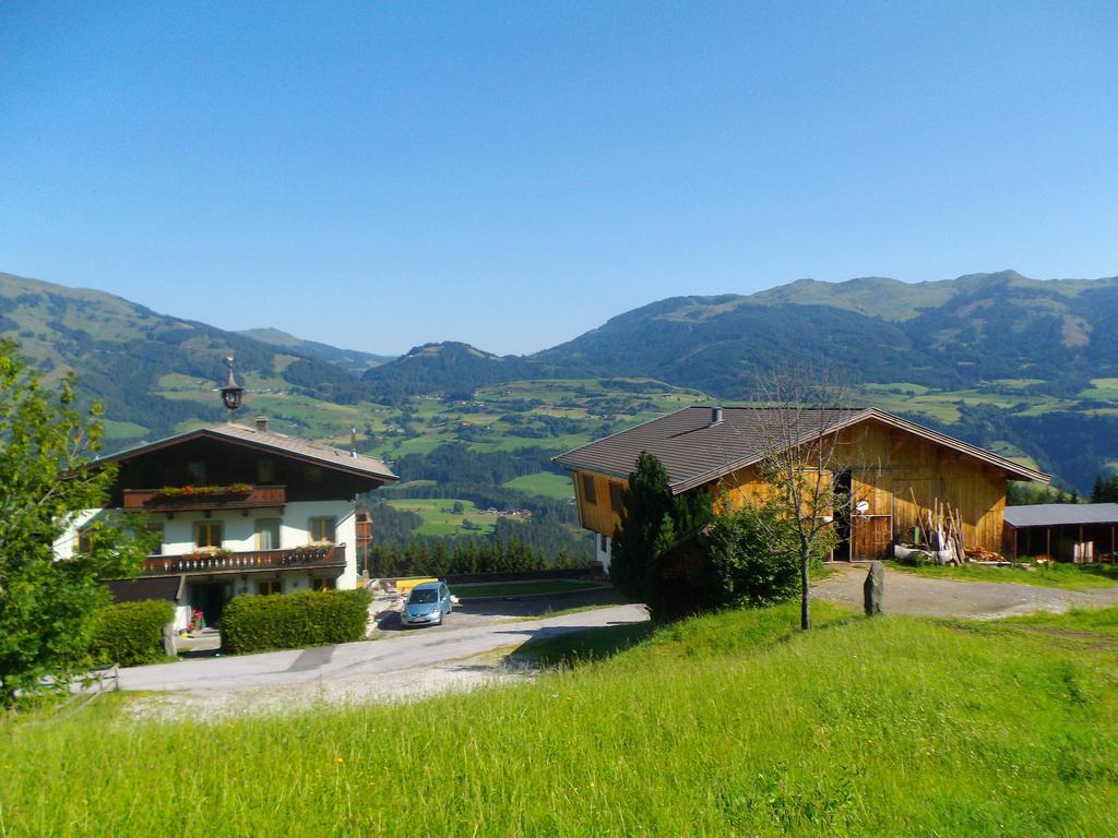 Ferienhaus Hochwimmer Hollersbach im Pinzgau Exterior photo