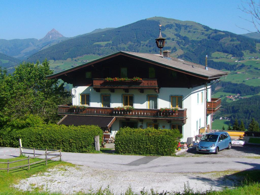 Ferienhaus Hochwimmer Hollersbach im Pinzgau Exterior photo