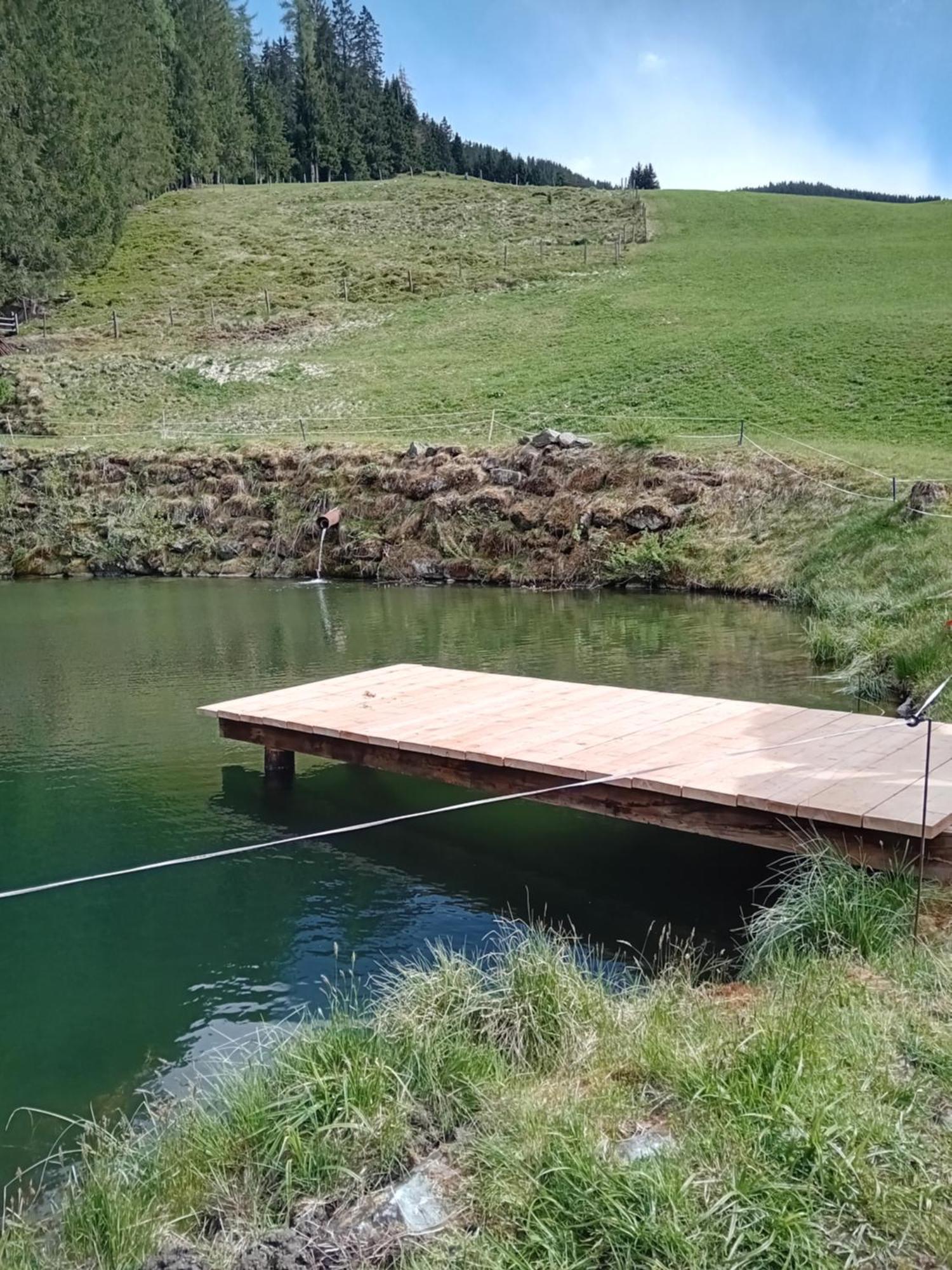 Ferienhaus Hochwimmer Hollersbach im Pinzgau Exterior photo