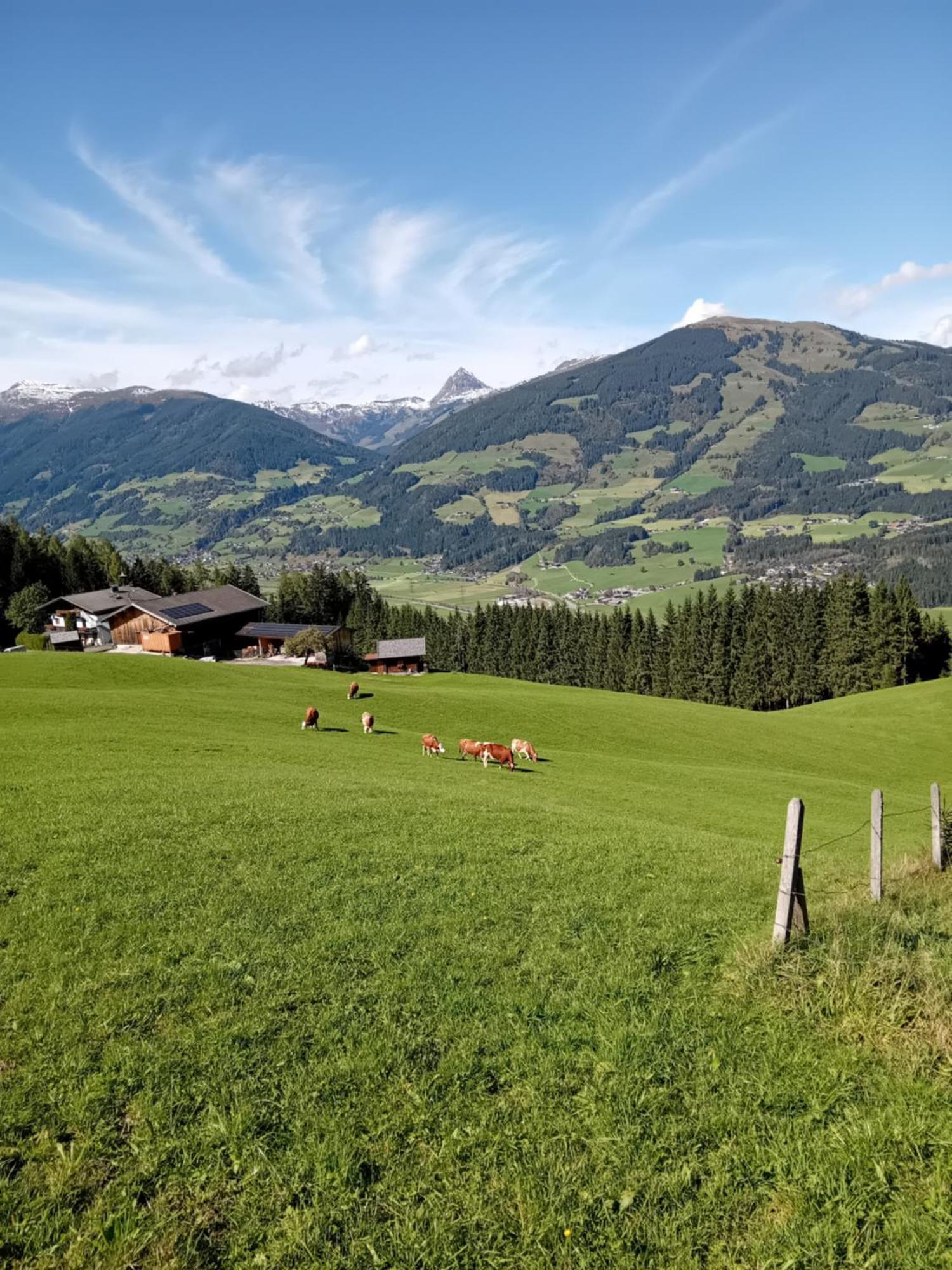 Ferienhaus Hochwimmer Hollersbach im Pinzgau Exterior photo