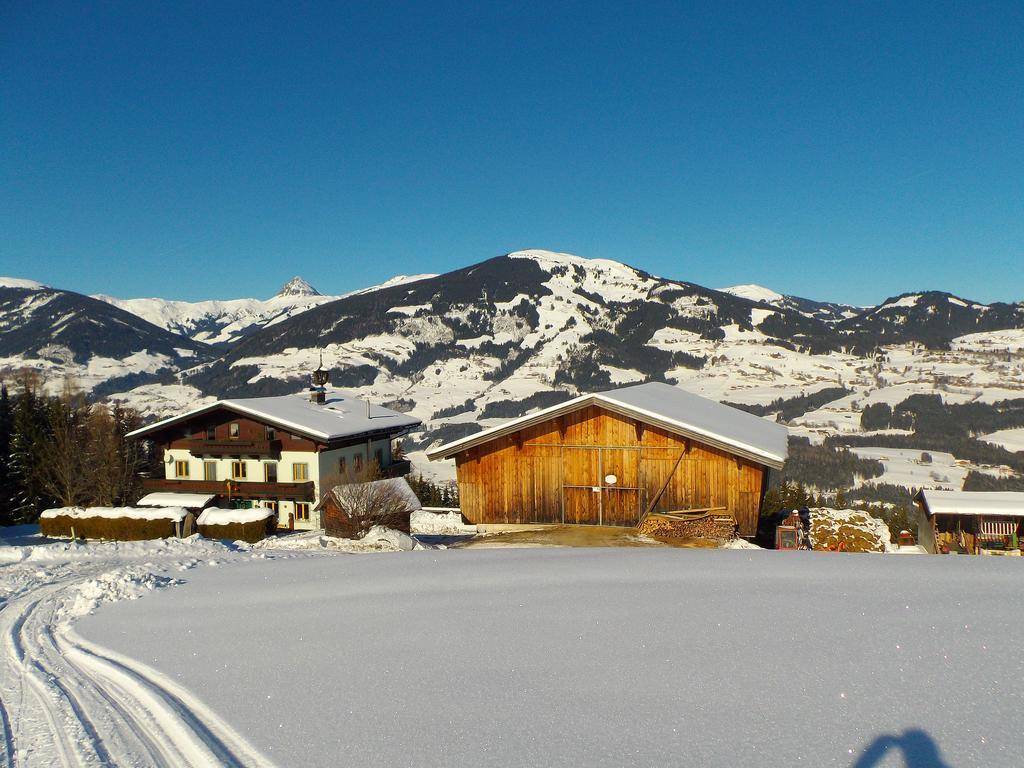 Ferienhaus Hochwimmer Hollersbach im Pinzgau Exterior photo