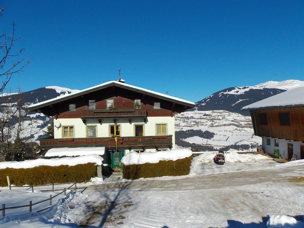 Ferienhaus Hochwimmer Hollersbach im Pinzgau Exterior photo