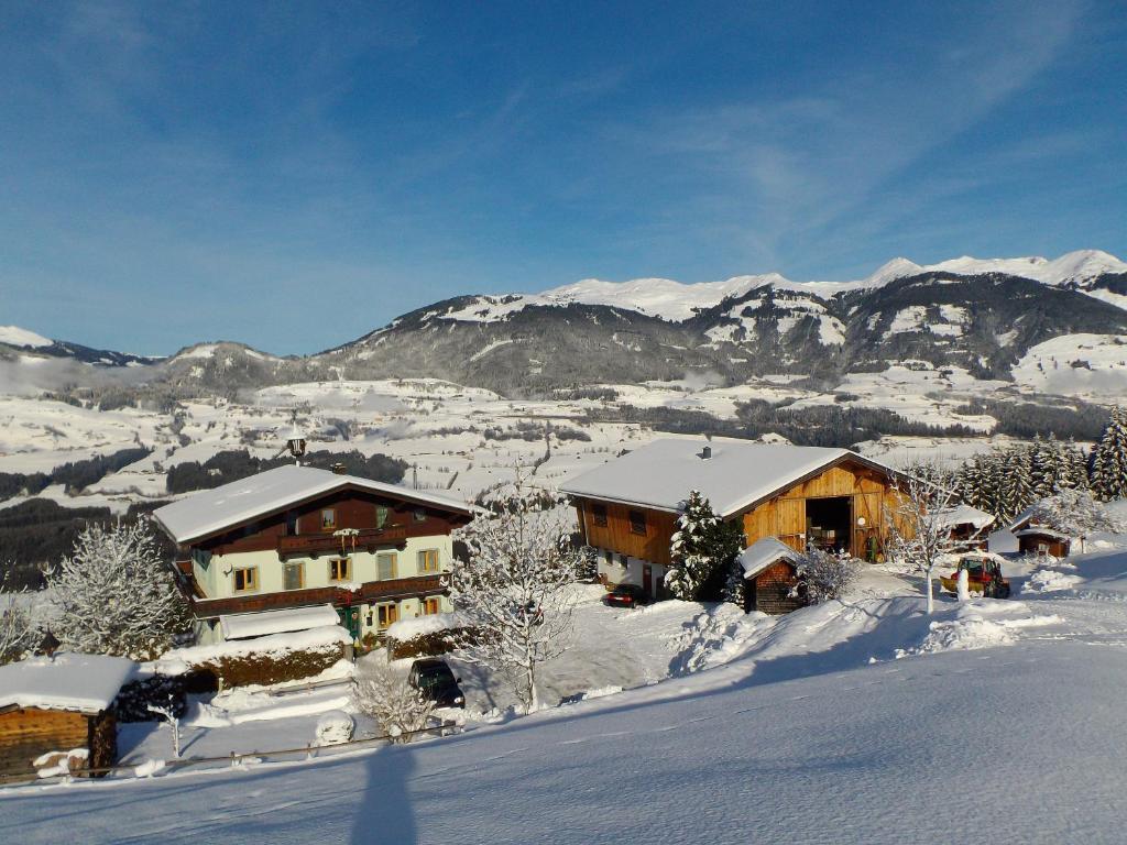 Ferienhaus Hochwimmer Hollersbach im Pinzgau Exterior photo