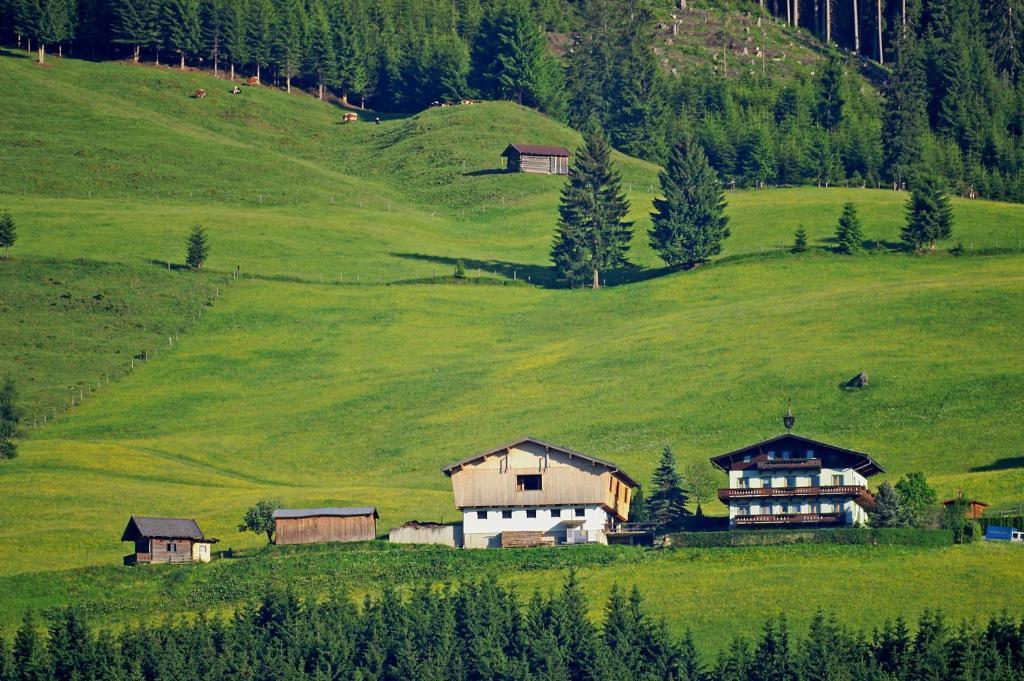 Ferienhaus Hochwimmer Hollersbach im Pinzgau Exterior photo